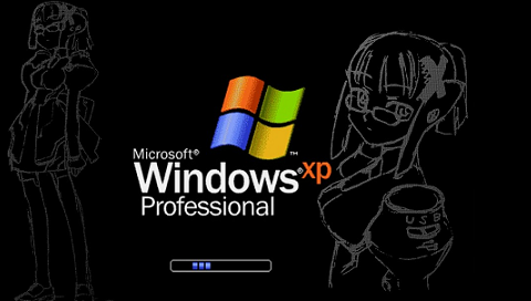 windows xp home.bmp